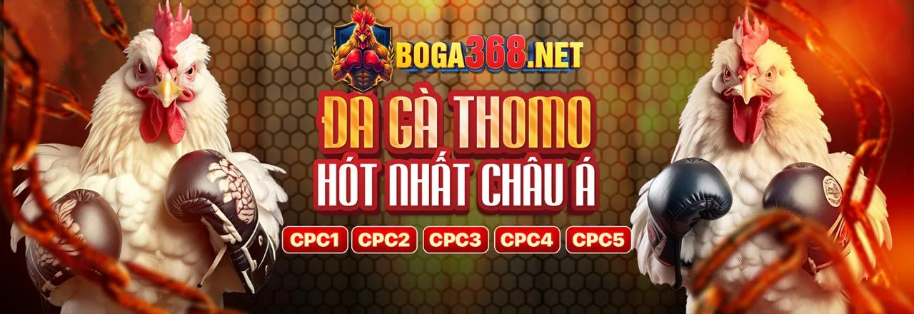 An toàn và bảo mật cá cược đá gà bong68 nhà cái