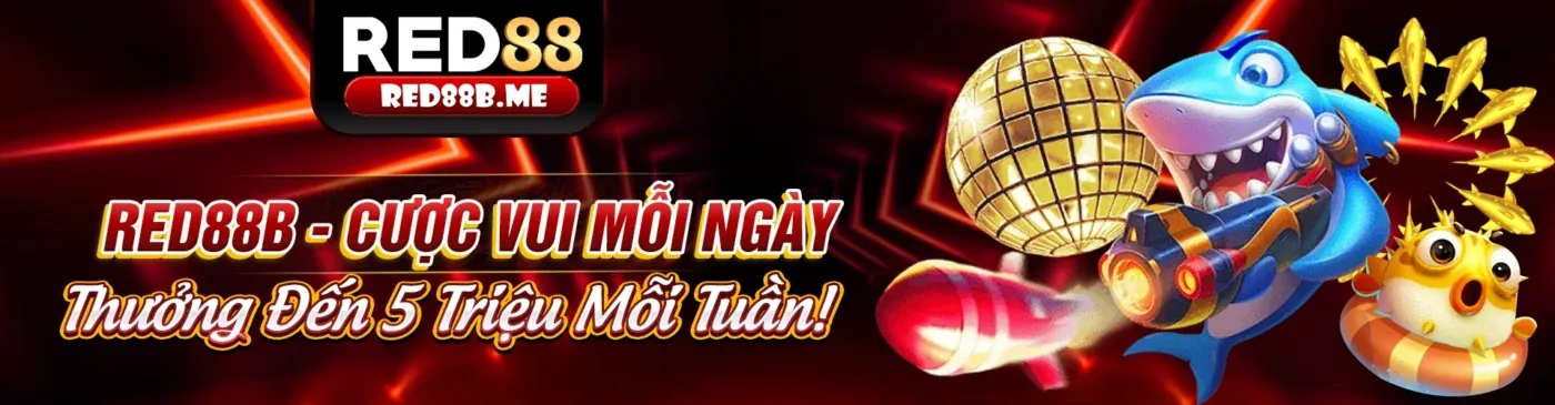 Bong68 Nhà Cái Hướng Dẫn Cá Cược